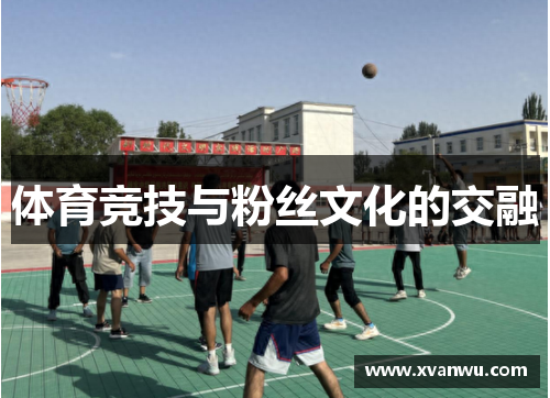 体育竞技与粉丝文化的交融